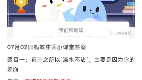 荷叶之所以滴水不沾蚂蚁庄园