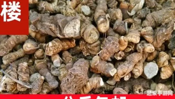 云中重楼