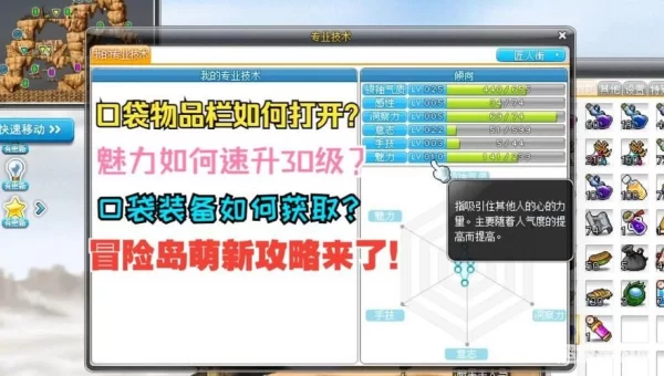 冒险岛口袋物品怎么装备