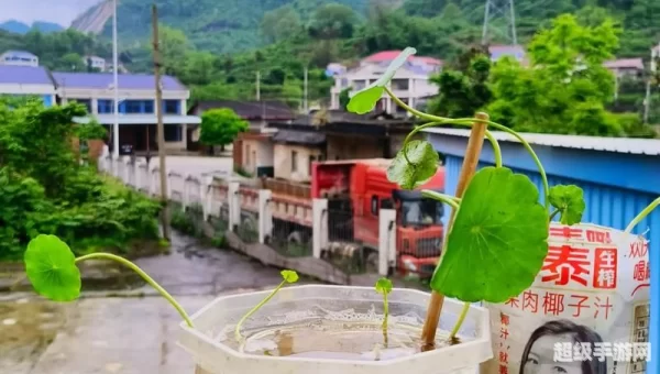 小绿点