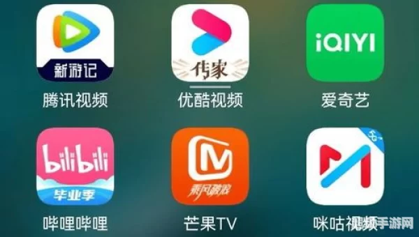 B站付费视频